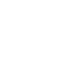 BRIDGES
